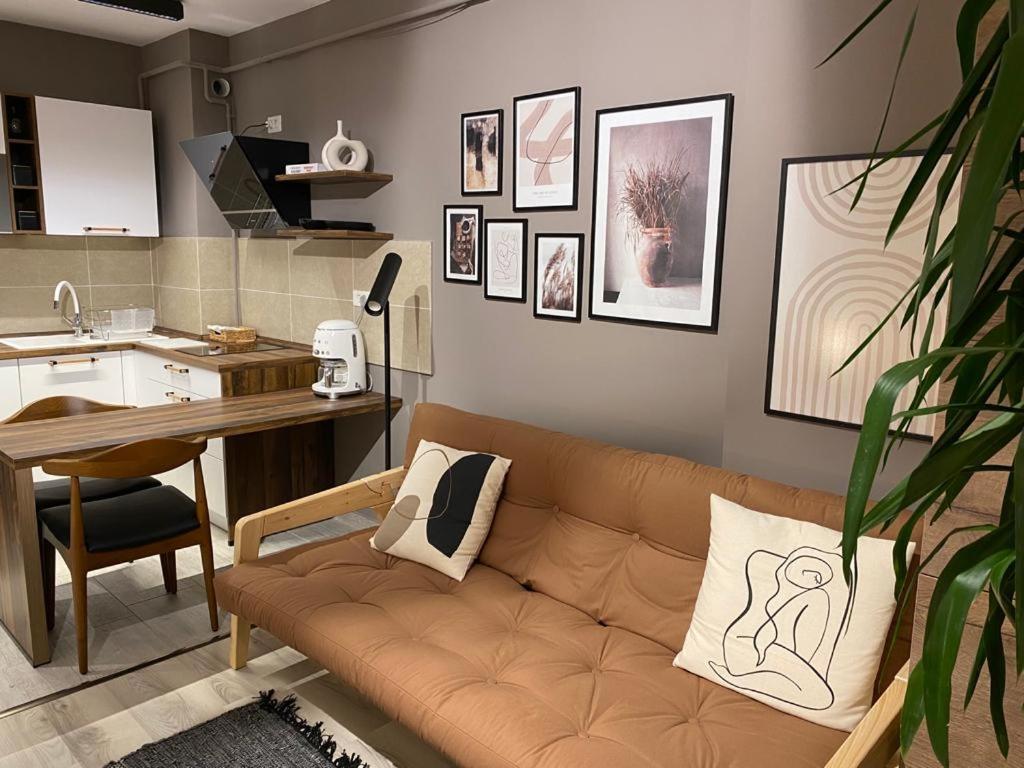 Shi Zi Junior Suite Iasi Luaran gambar